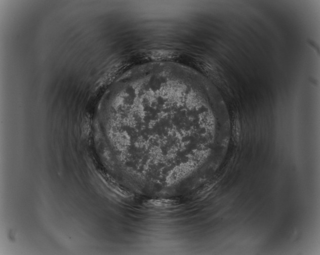 X0000100880367200807181304