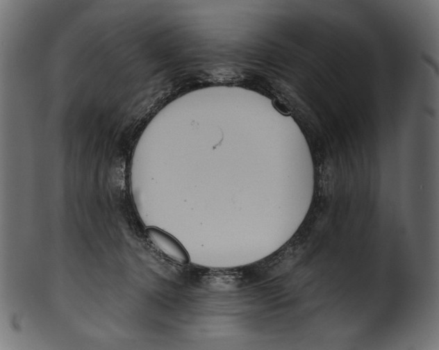 X0000100880368200807181304