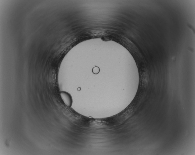 X0000100880372200807181304