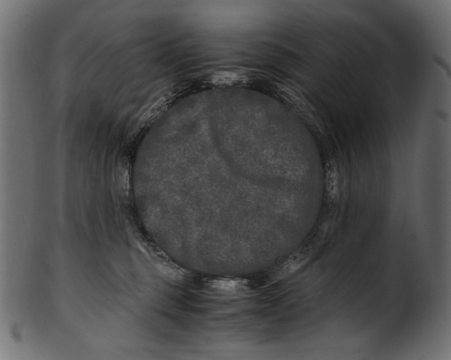 X0000100880375200807181304