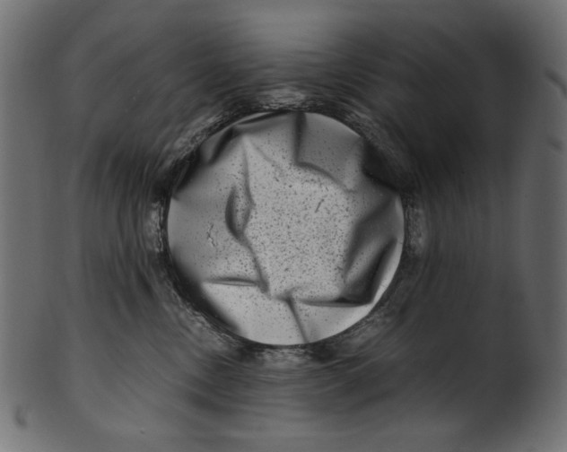 X0000100880378200807181305