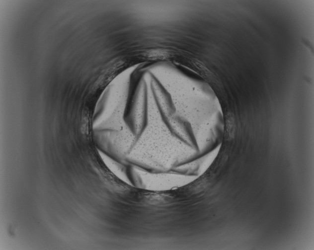 X0000100880379200807181305