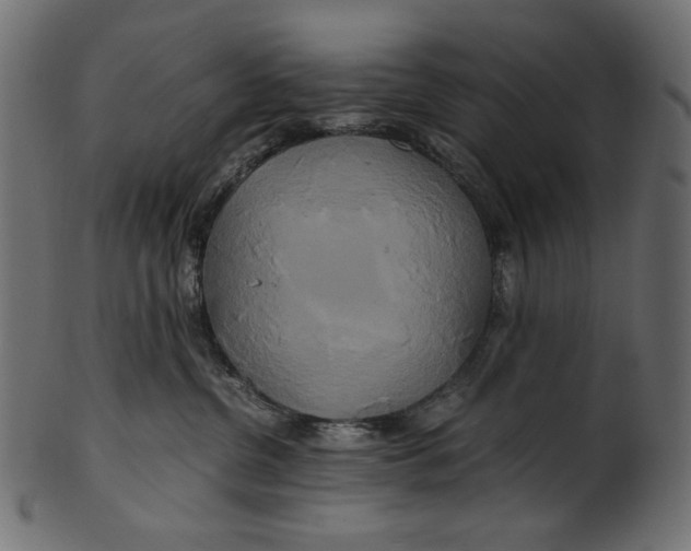 X0000100880380200807181305