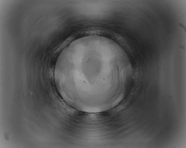 X0000100880382200807181305