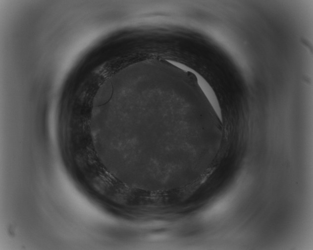 X0000100880383200807181305