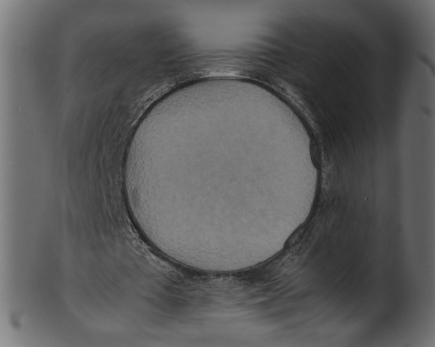 X0000100880385200807181304