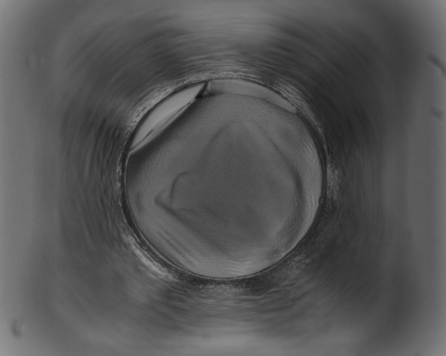 X0000100880389200807181304