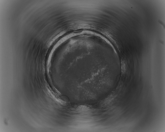 X0000100880390200807181304