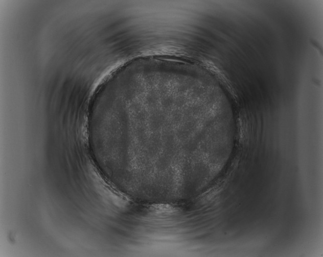 X0000100880392200807181304