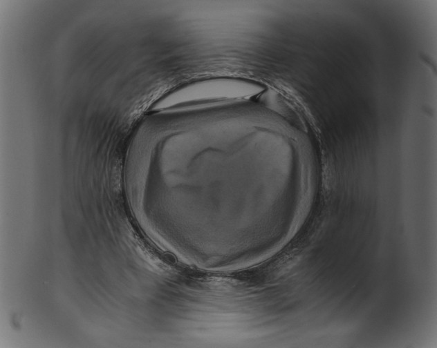 X0000100880393200807181304