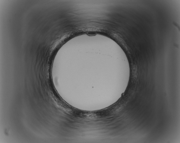 X0000100880395200807181304