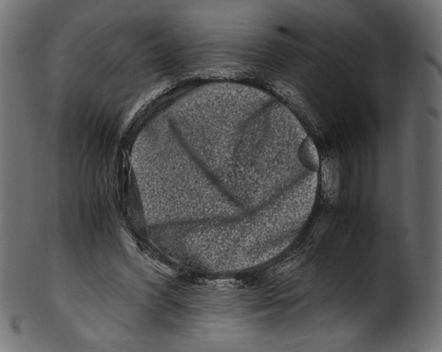 X0000100880396200807181304