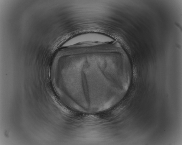 X0000100880397200807181304