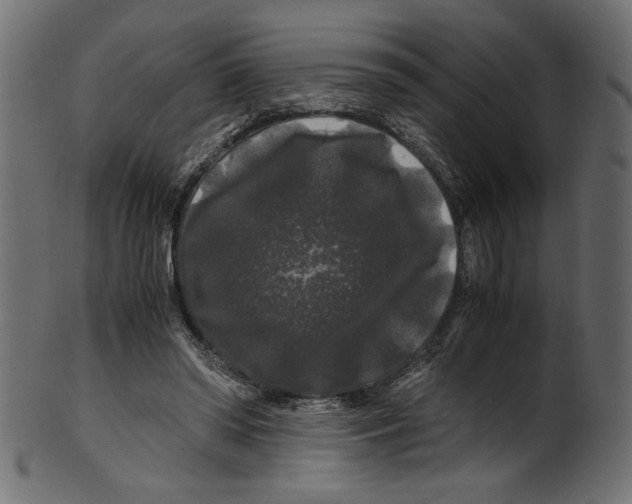 X0000100880398200807181304