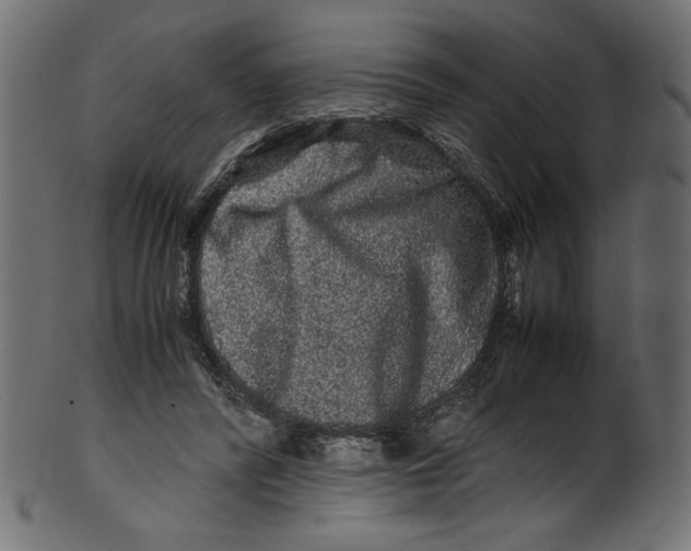 X0000100880400200807181304