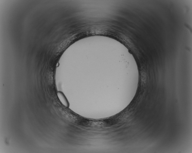 X0000100880401200807181304