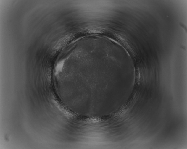 X0000100880402200807181304