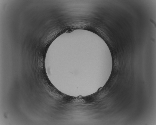 X0000100880403200807181304