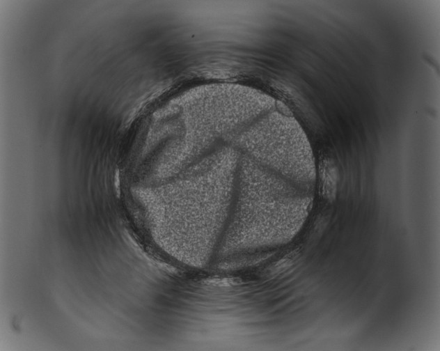 X0000100880404200807181304