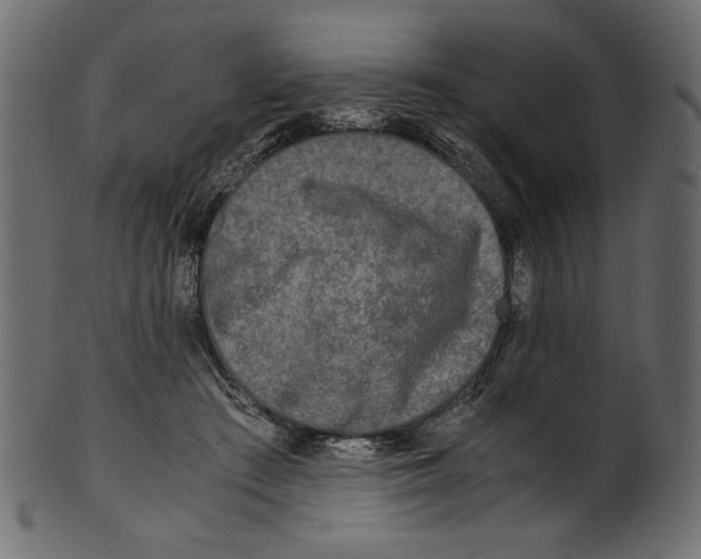 X0000100880409200807181304