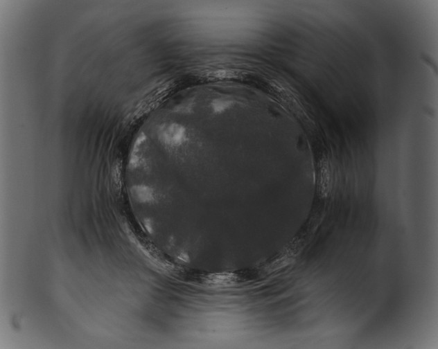 X0000100880410200807181304