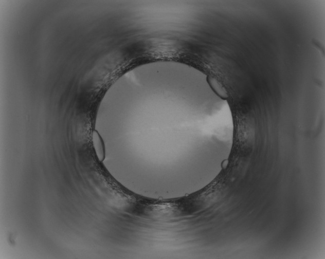 X0000100880411200807181304