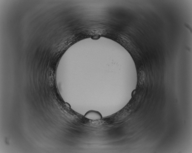 X0000100880414200807181304