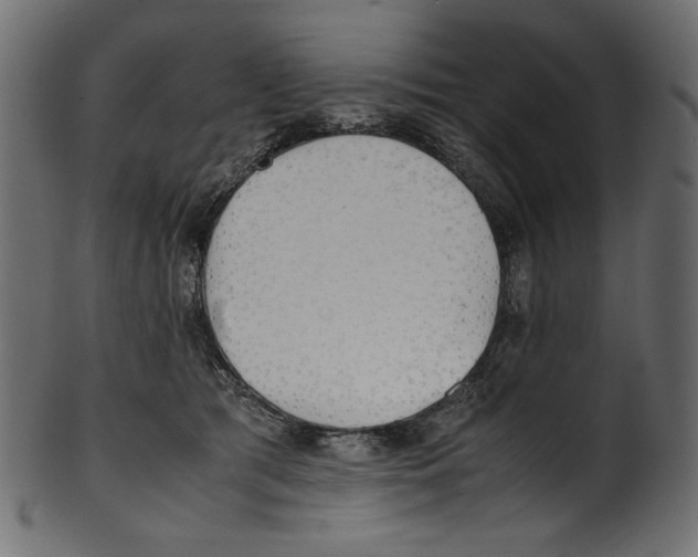 X0000100880417200807181303