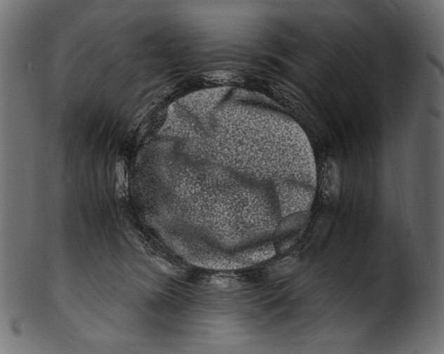 X0000100880420200807181303