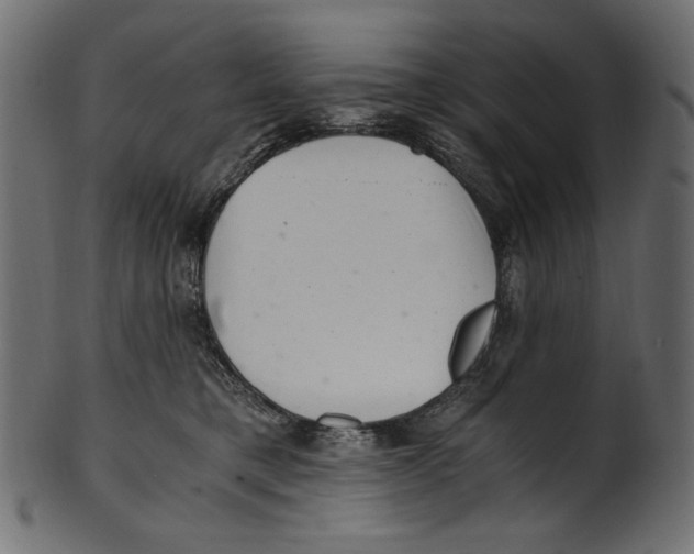 X0000100880421200807181303