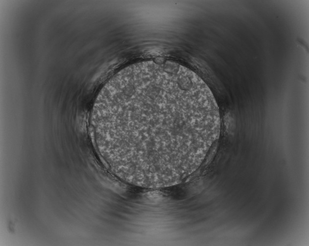 X0000100880423200807181303