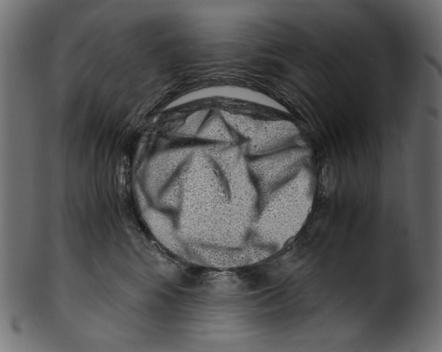 X0000100880424200807181303