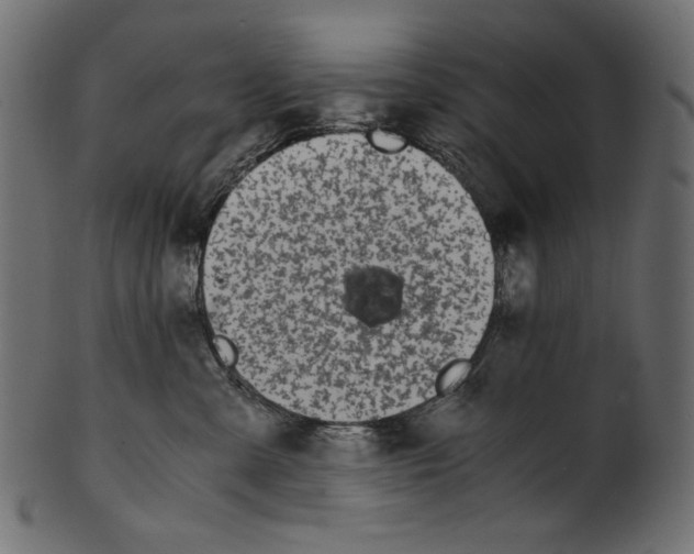 X0000100880427200807181303