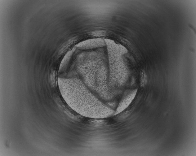 X0000100880428200807181303