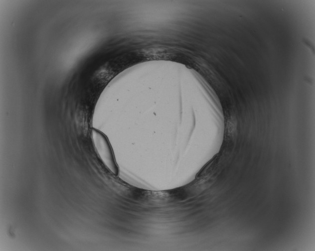 X0000100880429200807181303