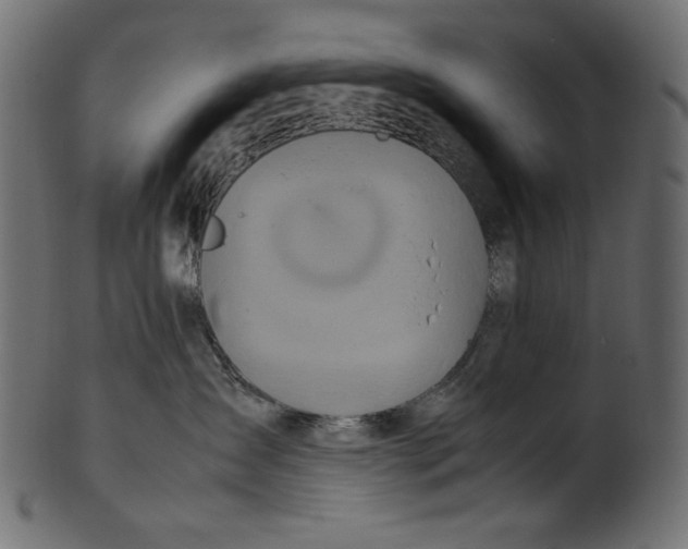 X0000100880431200807181303