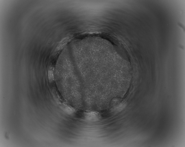 X0000100880432200807181303