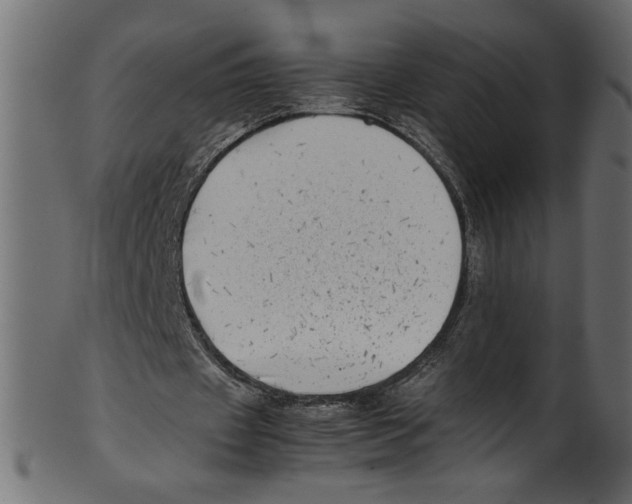 X0000100880433200807181303