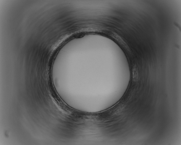 X0000100880436200807181303