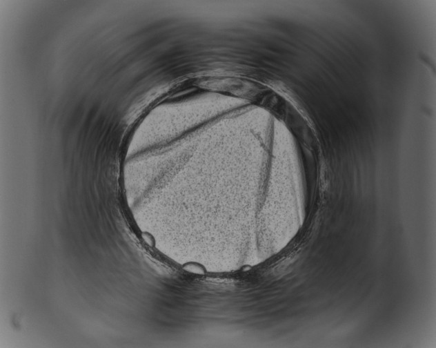 X0000100880437200807181303