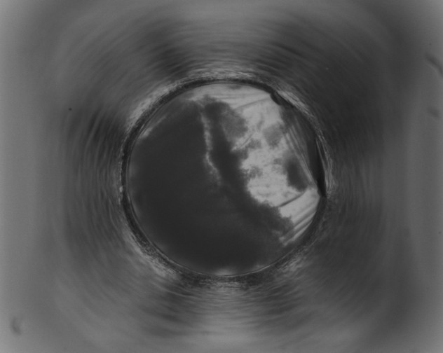 X0000100880438200807181303