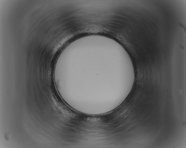 X0000100880440200807181303