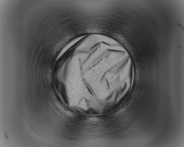 X0000100880441200807181303