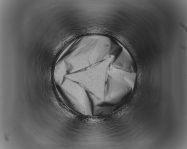 X0000100880442200807181303