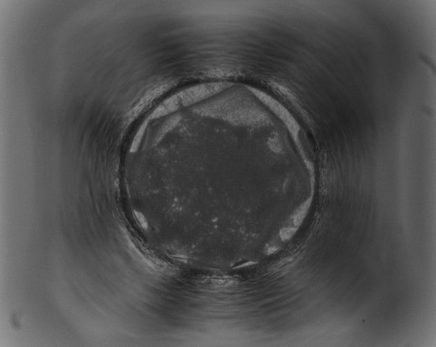 X0000100880443200807181303