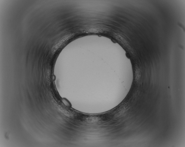 X0000100880444200807181303