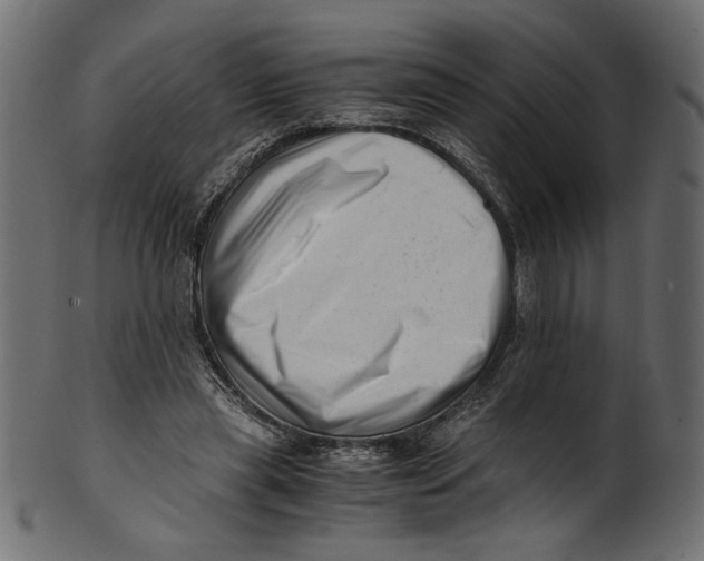 X0000100880445200807181303