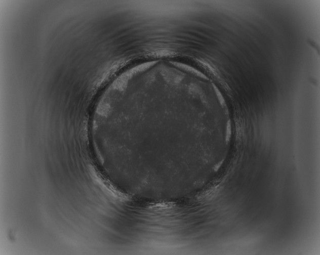 X0000100880447200807181303