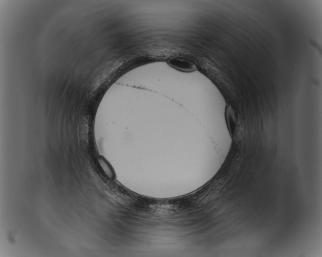 X0000100880448200807181303