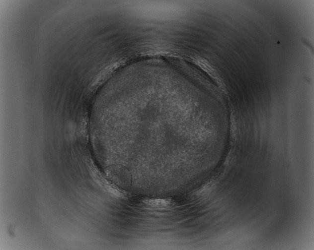 X0000100880449200807181303